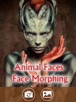 Faces Animal - Visage Morphing capture d'écran 3