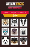 2 Schermata Animal Faces - Face Morphing