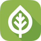 NZ Trees icon