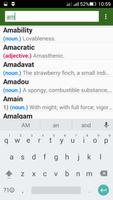 Pocket Dictionary screenshot 3