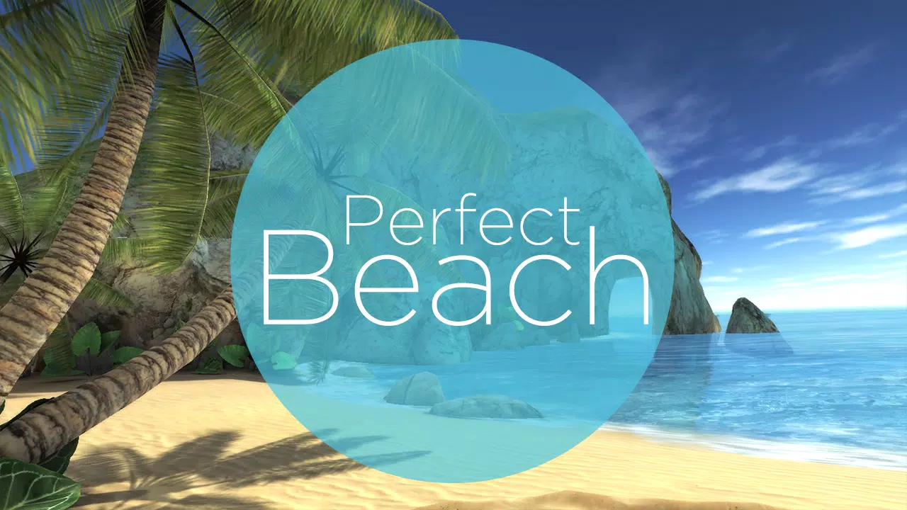 Perfect Beach VR (Docomo) APK for Android Download