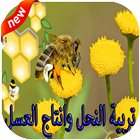 تربية النحل وانتاج العسل icône