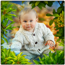 Nature Photo Frames APK