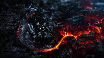 HD Dragon Wallpapers syot layar 2