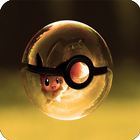 HD Pokemon Wallpapers icône