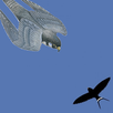 Swifts APK