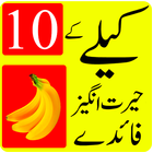 kele ke fayde in urdu simgesi