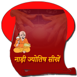 Nadi Jyotish Sikhe icône