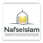 Nafseislam-icoon