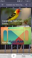 Canto De Canário da Terra New اسکرین شاٹ 1