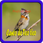 Canto do Tico tico NEW icon