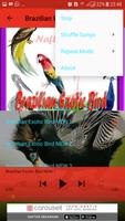 Brazilian Exotic Bird Offline capture d'écran 3