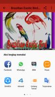 Brazilian Exotic Bird Offline syot layar 2