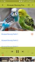 Kicauan Burung Parkit NEW ポスター