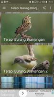 Terapi Burung Branjangan New captura de pantalla 1