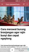 2 Schermata Terapi Burung Branjangan New