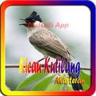 Terapi Burung Kutilang Masteran آئیکن