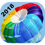 RICV 2018 - International meeting kites