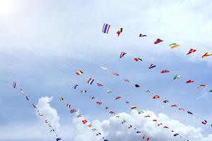 RICV 2018 - International meeting kites capture d'écran 2