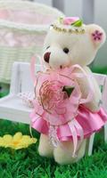 Puzzle Teddy Bear Cute ภาพหน้าจอ 1