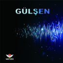Gülşen APK