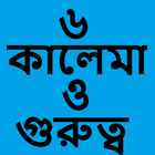 ৬ কালেমা ícone