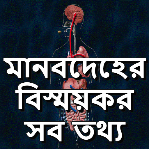 মানবদেহের বিস্ময়কর সব তথ্য