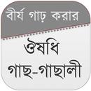 বীর্য গাঢ় করার ঔষধি গাছ-গাছালী APK