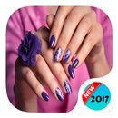 Nail Polish Rack 2017 APK