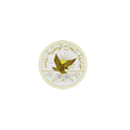 زاجل - النجاح