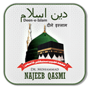 Deen e Islam APK