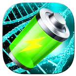 Battery charger Pro