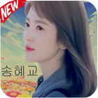 Song Hye Kyo Wallpapers HD icône