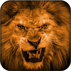 Lion Commando Hunting Game Zeichen