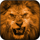 Lion Commando Hunting Game APK