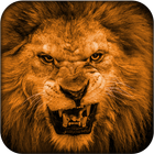 Lion Commando Hunting Game أيقونة