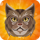 Tom Cat Dress Up and Colouring-APK