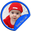 Nama Bayi Laki Istimewa APK