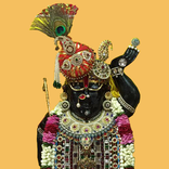 Shri Govardhannathji ni Haveli @Naman Towers