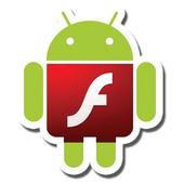 Flash on WebView icono
