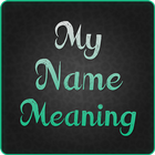 My Name Meaning icône