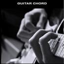 Guitar Chords Free-APK