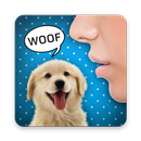 翻訳者から犬の言葉のジョーク APK