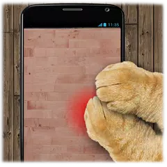 Laser dot game: toy for cats APK download