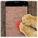 APK Laser dot game: toy for cats