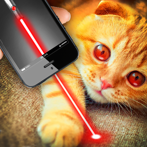 laser per il gatto scherzo