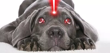 Real laser for dog prank