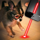 Real laser for dog prank-icoon