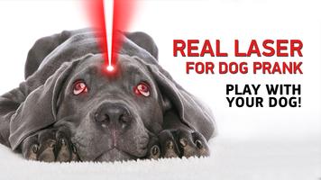 Real laser for dog prank ảnh chụp màn hình 3