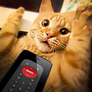 Remote control untuk lelucon kucing APK